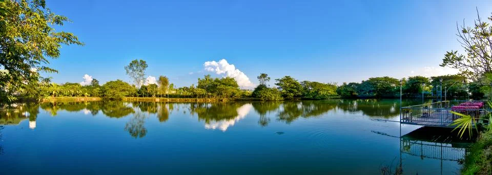 Tree and cloud reflection of water Stock Photos