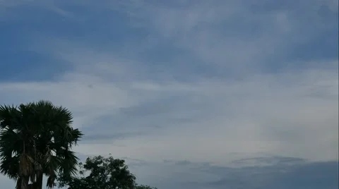 Tree and cloud timelapes 스톡 동영상 55735002