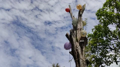 Tree and cloud timelapse Stock Footage 166816313