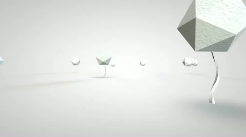 Tree and cloudes Stock Footage 18010498