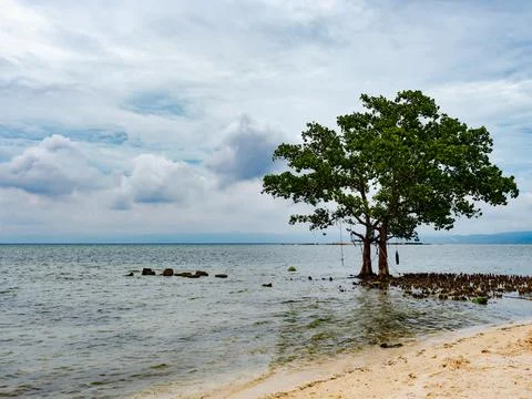 Tree and clouds in the Philippines Stock Photos