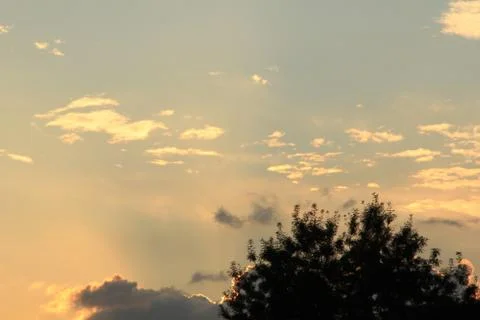 Tree and clouds Stock Photos