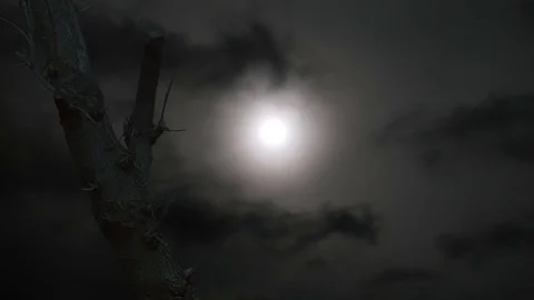 Tree and Clouds with Tree Sky Spooky Cinematic 動画素材 84693344