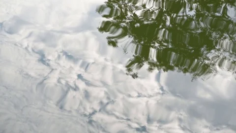Tree and cloudy sky reflection in the water Stock Footage 73756260