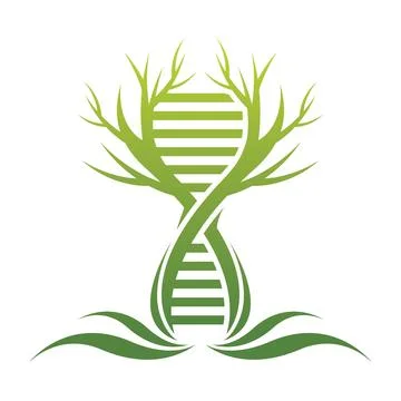 Tree And DNA Logo Stock Illustration