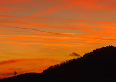 A tree and a dramatic red sky Foto stock