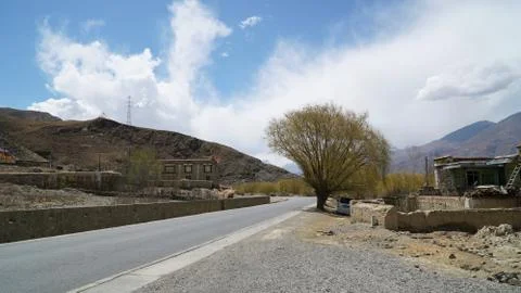 Tree and empty road with clear sky Stock Photos