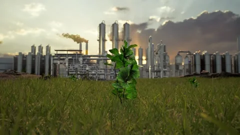 Tree And A Factory Emitting Smoke, Highlighting Environmental Issues Stock Footage 296878699