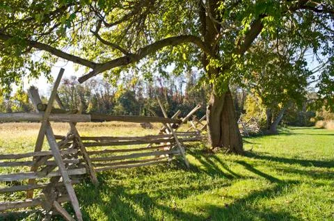 Tree And Fence Stock Photos