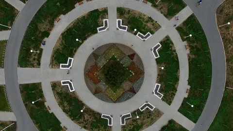 A tree and flowers in the middle of nested circles in a park (4k drone footage) Stock Footage 88799472