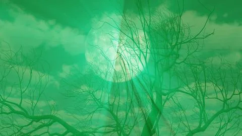 Tree and full moon background illustration Stock Illustration