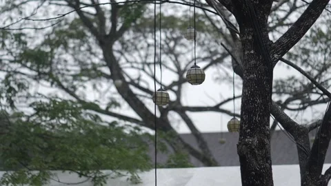 TREE AND HANGING LIGHTS IN THE RAIN SLOW MOTION Stock Footage 130865027