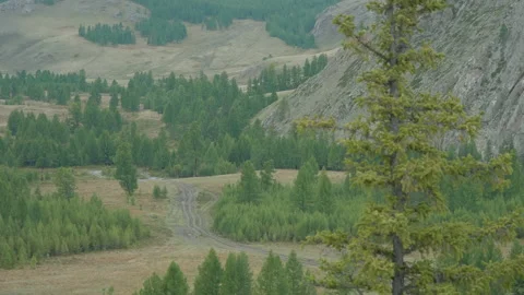 Tree and hill Stock Footage 163846561