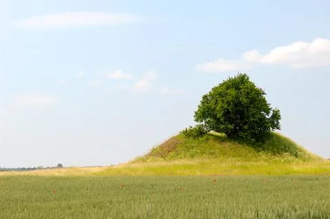 Tree and hill Stock Photos