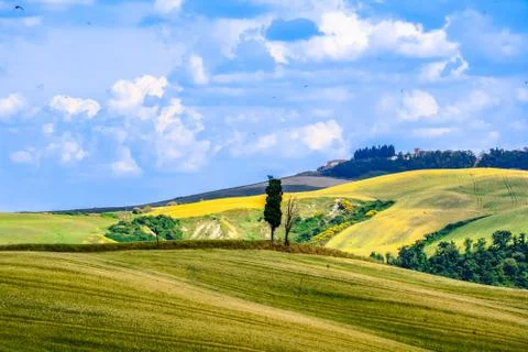 Tree and hills with clouds in background Stock Photos