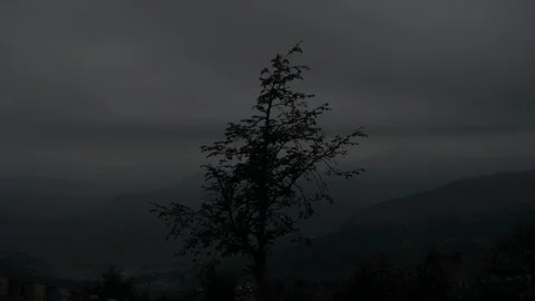 Tree and Hills Stock Footage 91883096