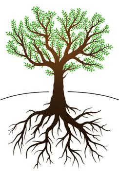 Tree and it's roots Stock Illustration