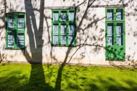 A tree and its shadow against a house wall in the Hanseatic city of Rostock.. Stock Photos