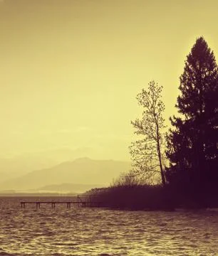 Tree and lake Stock Photos