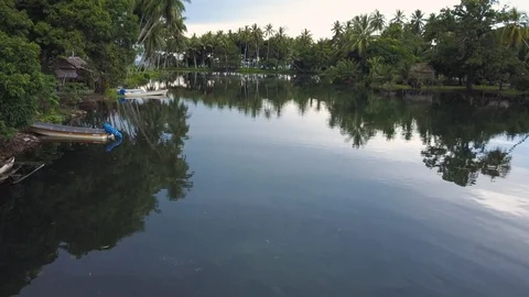 Tree and a lake shot Stock Footage 85580896