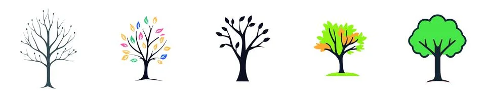 Tree and Leaf Growth Throughout Seasons Stock Illustration