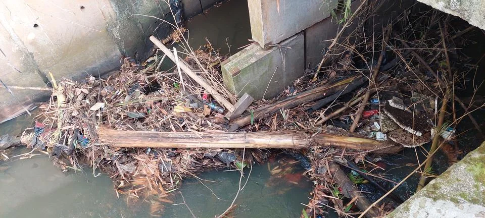 Tree and leaf litter causing flooding Stock Photos