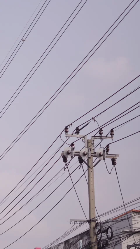 Tree and leaves moved by the wind next to electricity poles with many cables Vídeo Stock 279277144