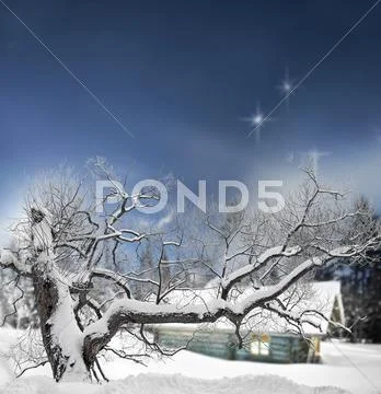 Tree And Log Cabin In Winter