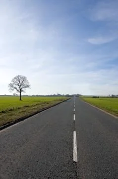 Tree and long road Stock Photos