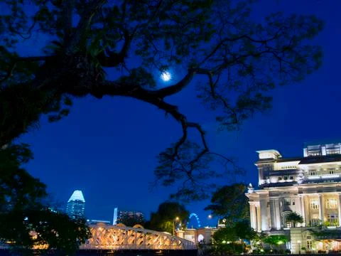 Tree and moon. Foto stock