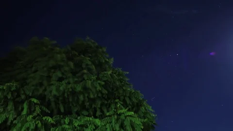 Tree and moon time lapse Stock Footage 70789548
