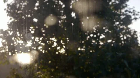 Tree and Morning sunlight through reflected on window Stock Footage 12618802