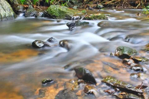 Tree and moss on stone in stream Stock Photos