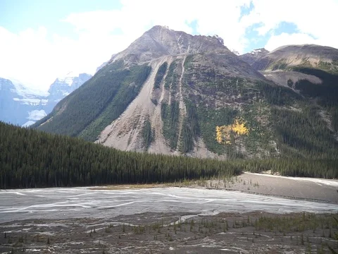 Tree and Mountain autumn landscape in the Jasper National Park, Canada. Stock Footage 100220176