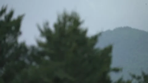 Tree and mountain Stockbeeldmateriaal 171340868