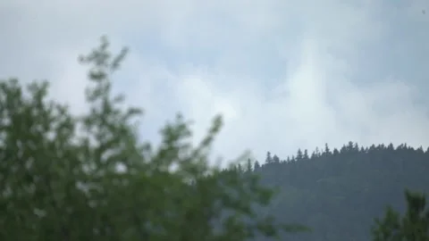 Tree and mountain Stockbeeldmateriaal 171340946