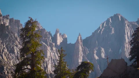 Tree and Mountain Peaks on Blue Stock Footage 251369239