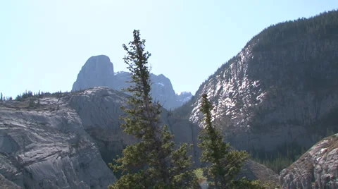 Tree and Mountain with a zoom 库存影片 36473147