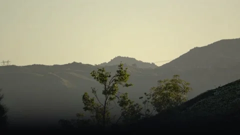 Tree and the mountains Stock Footage 139071340