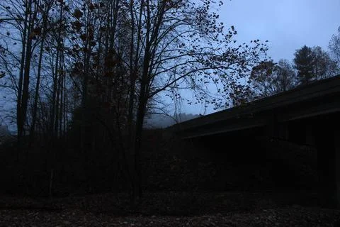 Tree and Overpass Stock Photos