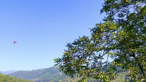 Tree and a Paragliding Flying over Breno Mountain Village in a Sunny Summer Day Video stock 252856247