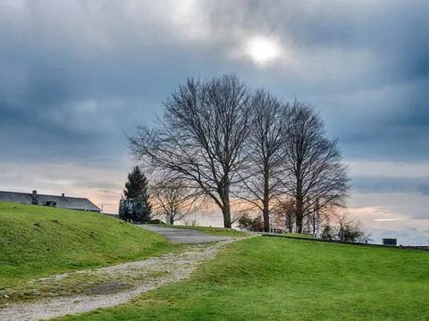 Tree And Path On A Cloudy Day Stock Photos