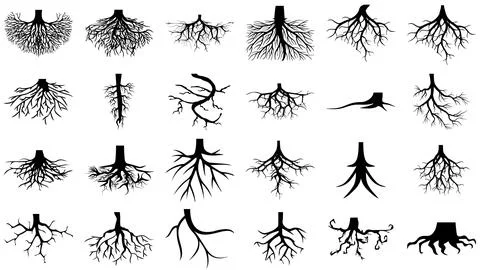 Tree and Plant Root Black Silhouette Vector Bundle Stock Illustration