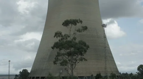 Tree and power station Stock Footage 56916686