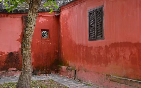 Tree and Red Wall Stock Photos