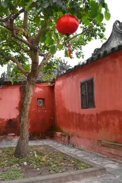 Tree and Red Wall Stock Photos