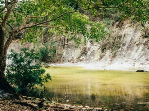 The tree and the river 스톡 사진