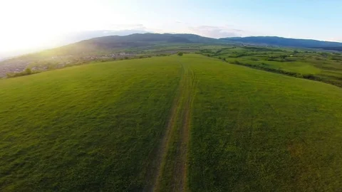 Tree and road-dron Video stock 81695367