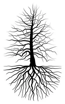 The tree and root Illustrazione stock