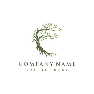 Tree and roots logo design vector isolated, abstract mangrove tree logo desig Stock Illustration